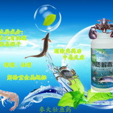 2018水產(chǎn)消毒劑市場(chǎng)行情、報(bào)價(jià)及批發(fā)渠道概覽——聚焦養(yǎng)殖網(wǎng)資訊